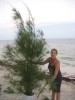 costa maya christmas tree3_1.JPG